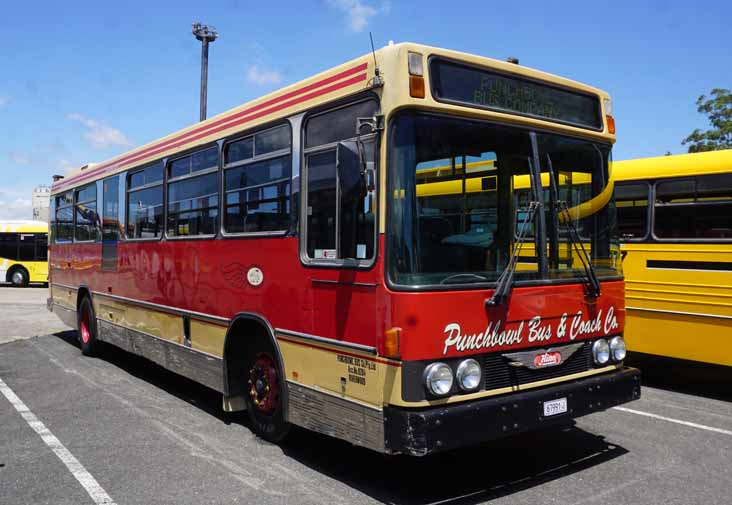 Punchbowl Hino RG197K Custom MO9030